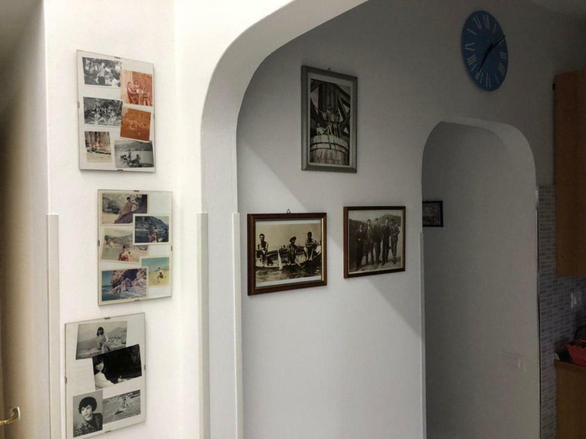 La Terrazza Di Carmen E Fausto Daire Cetraro Dış mekan fotoğraf