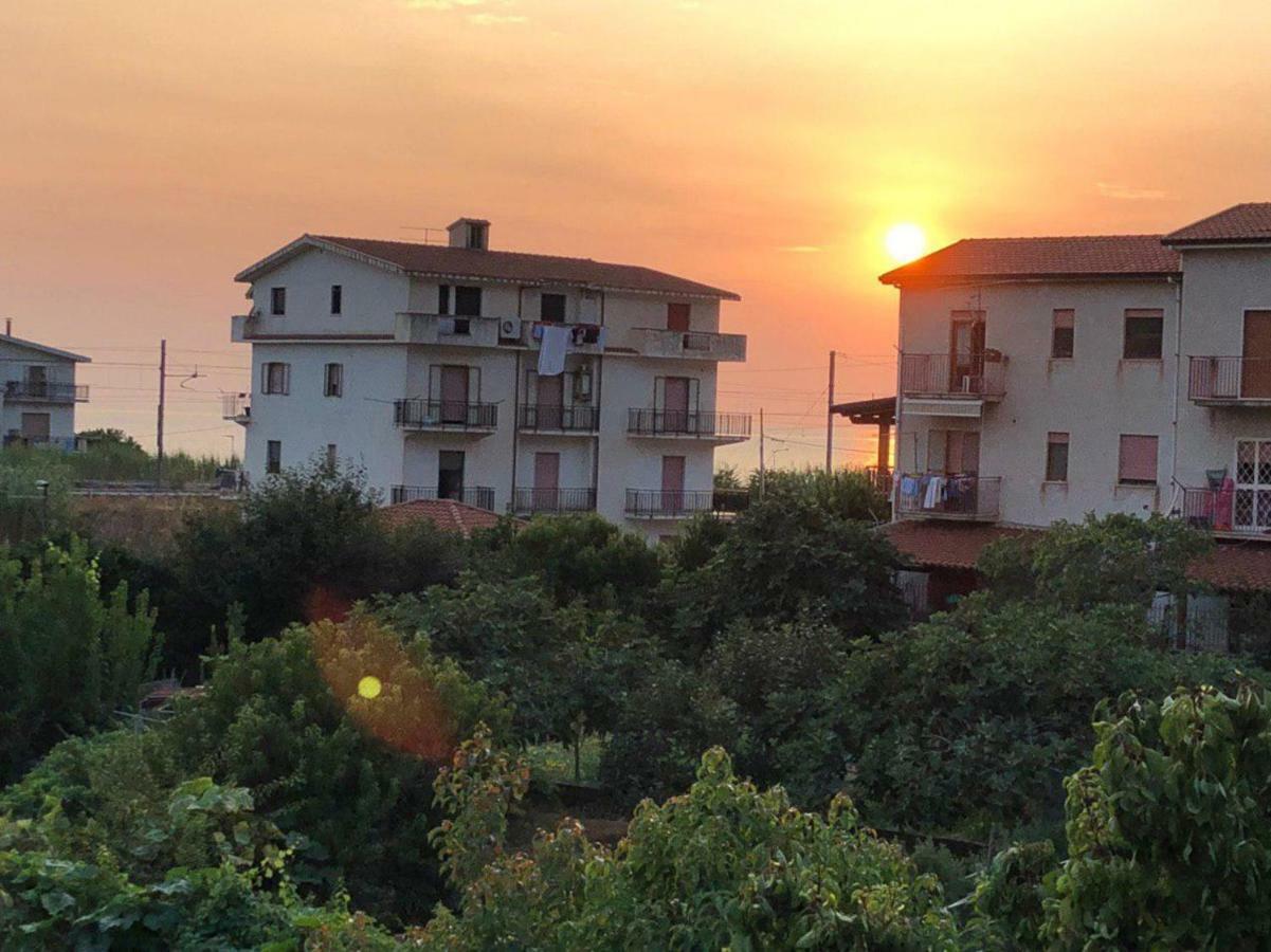 La Terrazza Di Carmen E Fausto Daire Cetraro Dış mekan fotoğraf